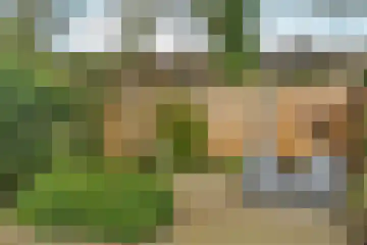 Zwanenveld 3137 Nijmegen thumbnail 17