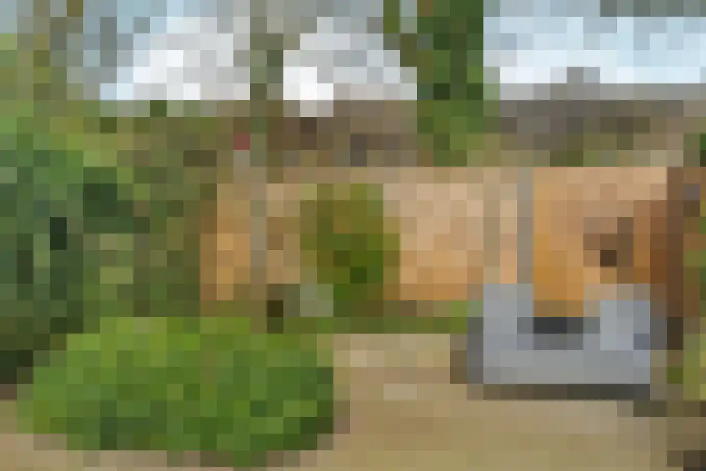 Zwanenveld 3137 Nijmegen thumbnail 17