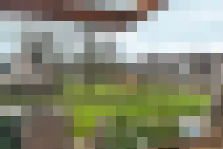 Zwanenveld 3137 Nijmegen thumbnail 22
