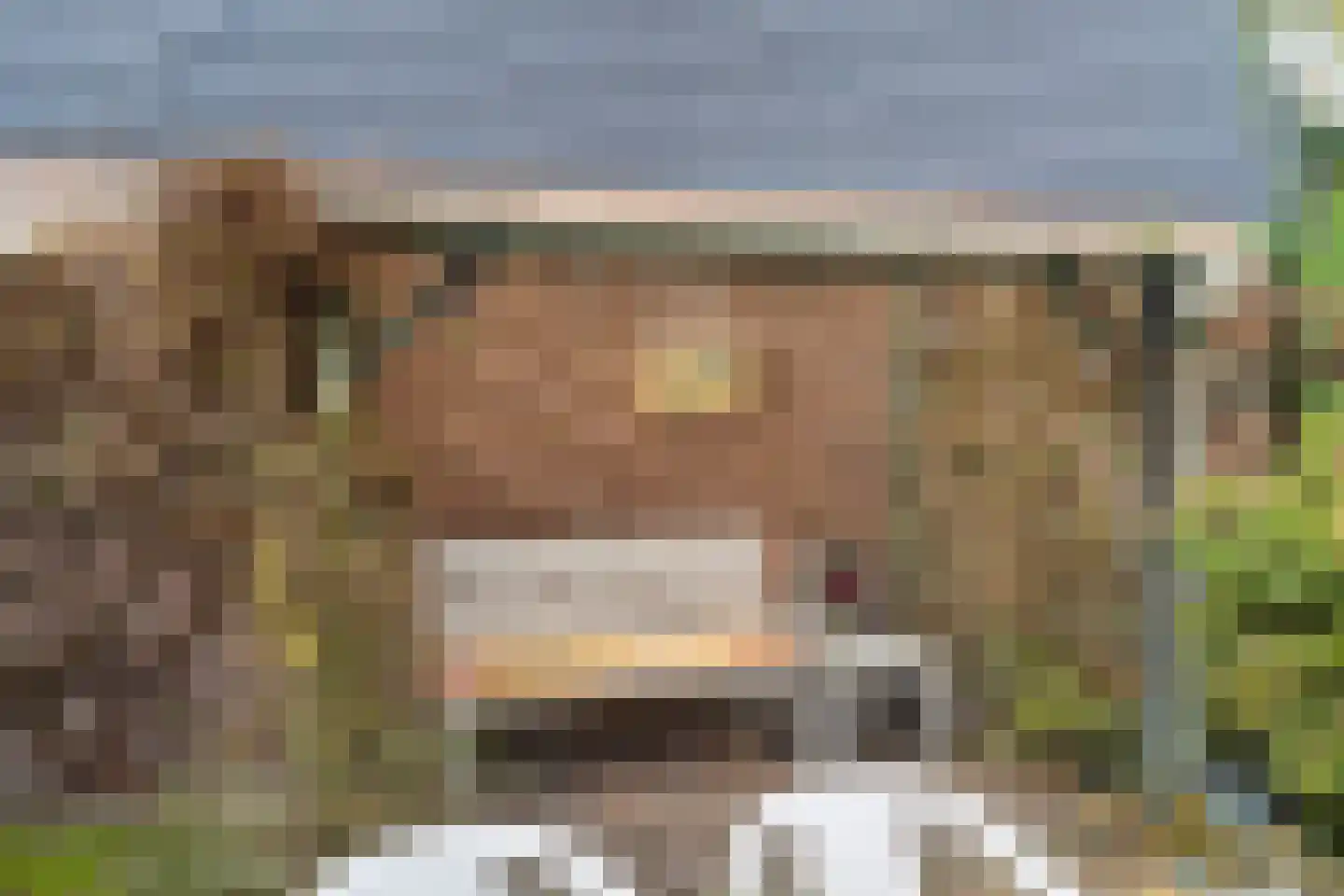 Zwanenveld 3137 Nijmegen thumbnail 31