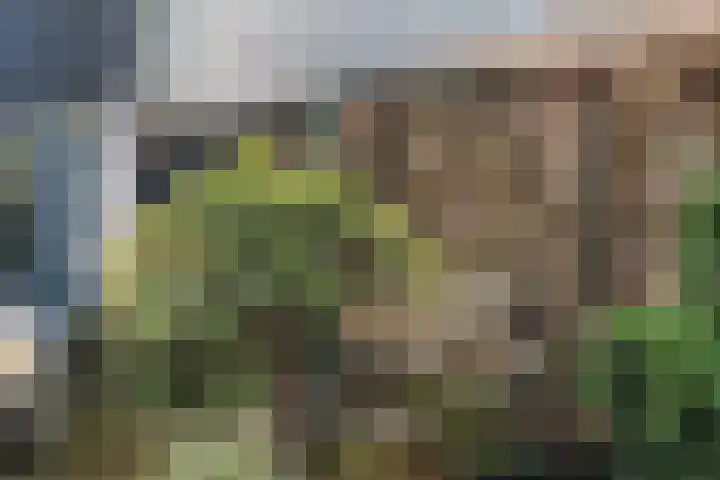 Zwanenveld 3137 Nijmegen thumbnail 32