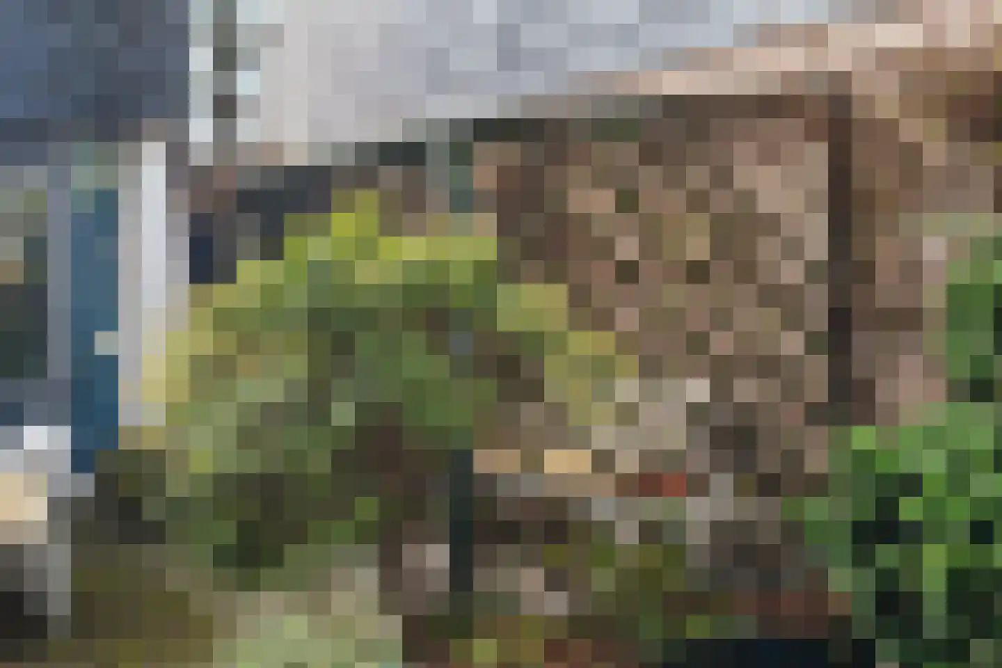 Zwanenveld 3137 Nijmegen thumbnail 32