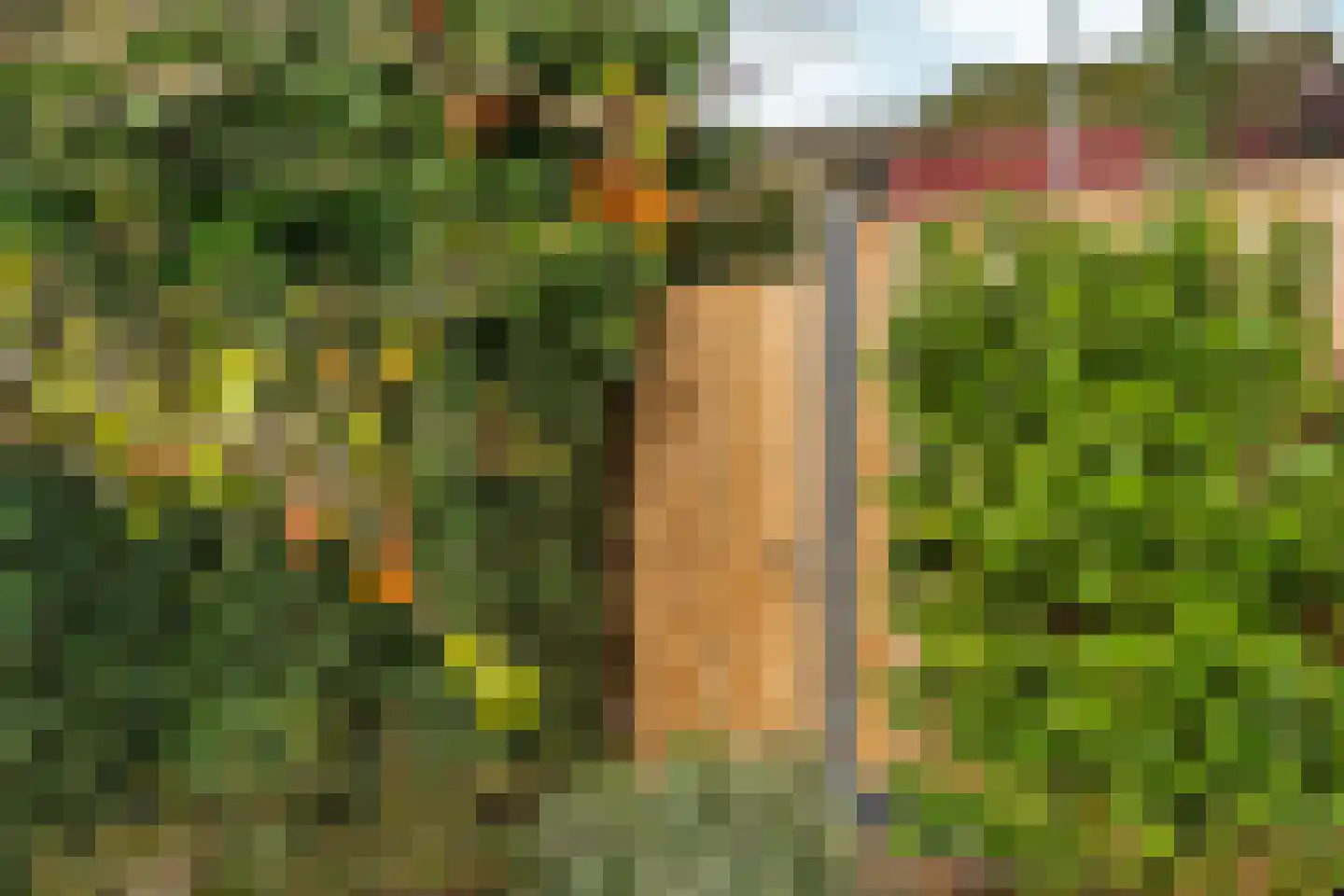 Zwanenveld 3137 Nijmegen thumbnail 33