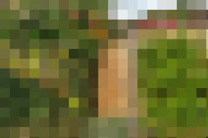 Zwanenveld 3137 Nijmegen thumbnail 33