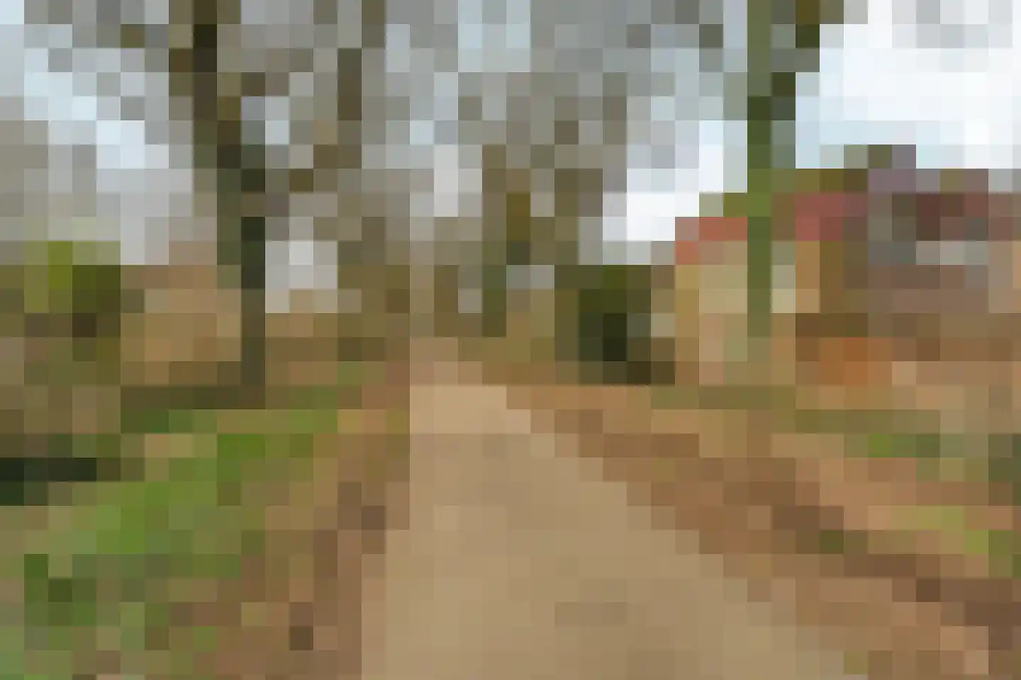 Zwanenveld 3137 Nijmegen thumbnail 34