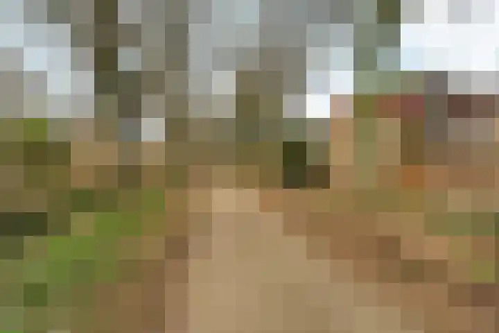 Zwanenveld 3137 Nijmegen thumbnail 34