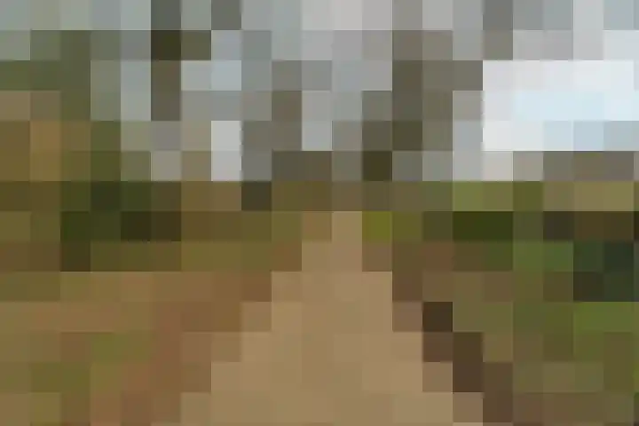Zwanenveld 3137 Nijmegen thumbnail 35