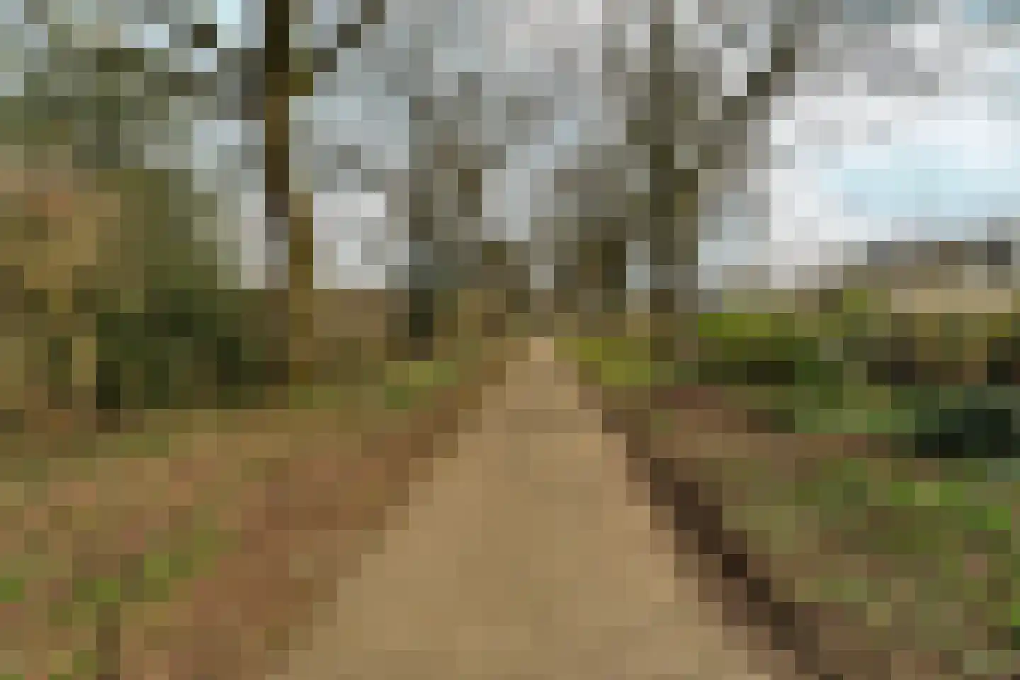 Zwanenveld 3137 Nijmegen thumbnail 35