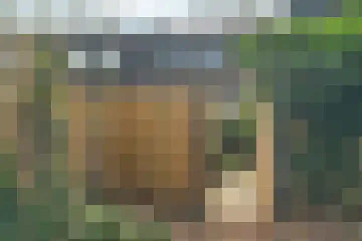 Zwanenveld 3137 Nijmegen thumbnail 36