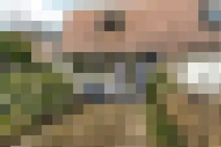 Zwanenveld 3137 Nijmegen thumbnail 38