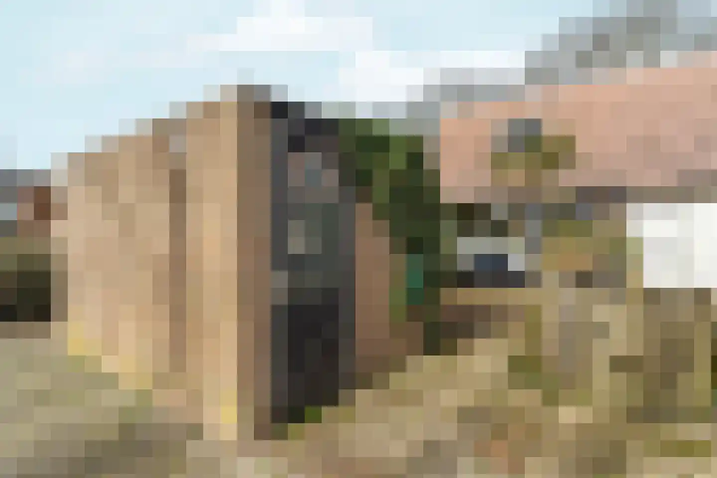 Zwanenveld 3137 Nijmegen thumbnail 39