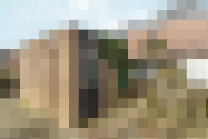 Zwanenveld 3137 Nijmegen thumbnail 39