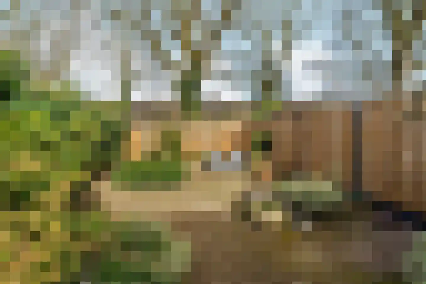 Zwanenveld 3137 Nijmegen thumbnail 4