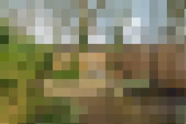 Zwanenveld 3137 Nijmegen thumbnail 4