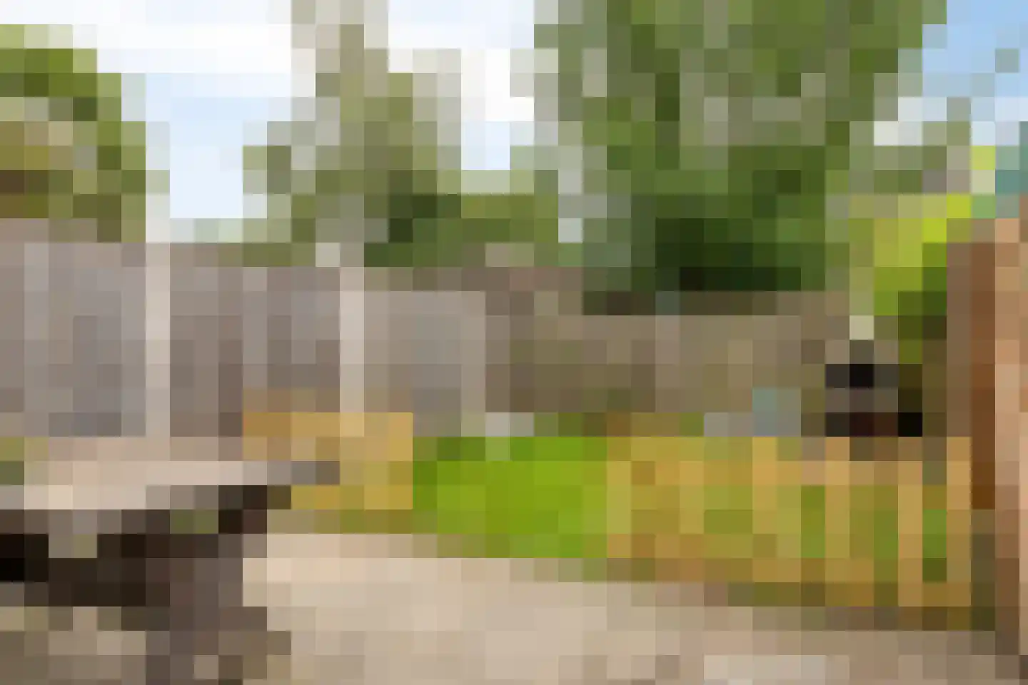 Zwanenveld 3217 Nijmegen thumbnail 21