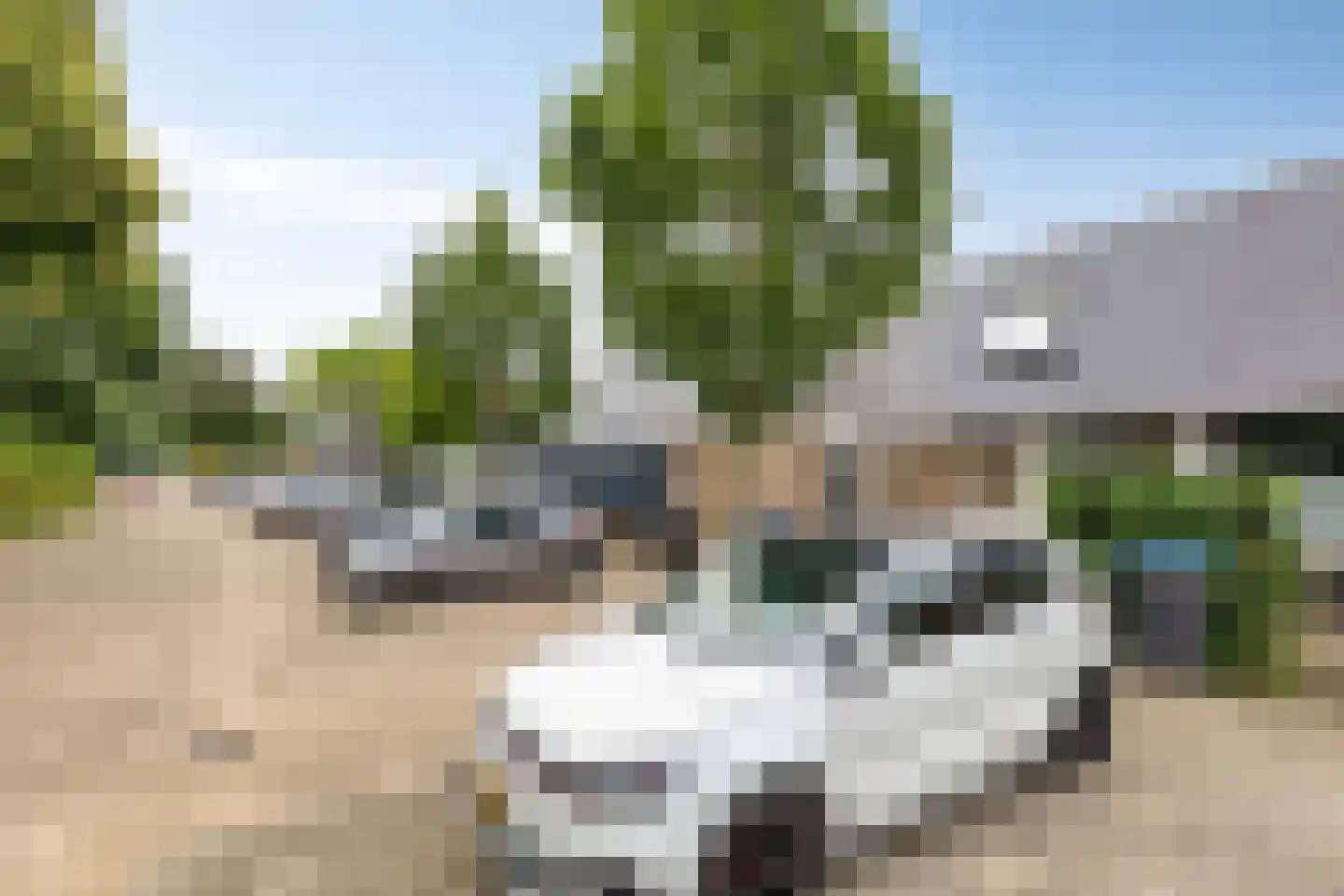 Zwanenveld 3217 Nijmegen thumbnail 22