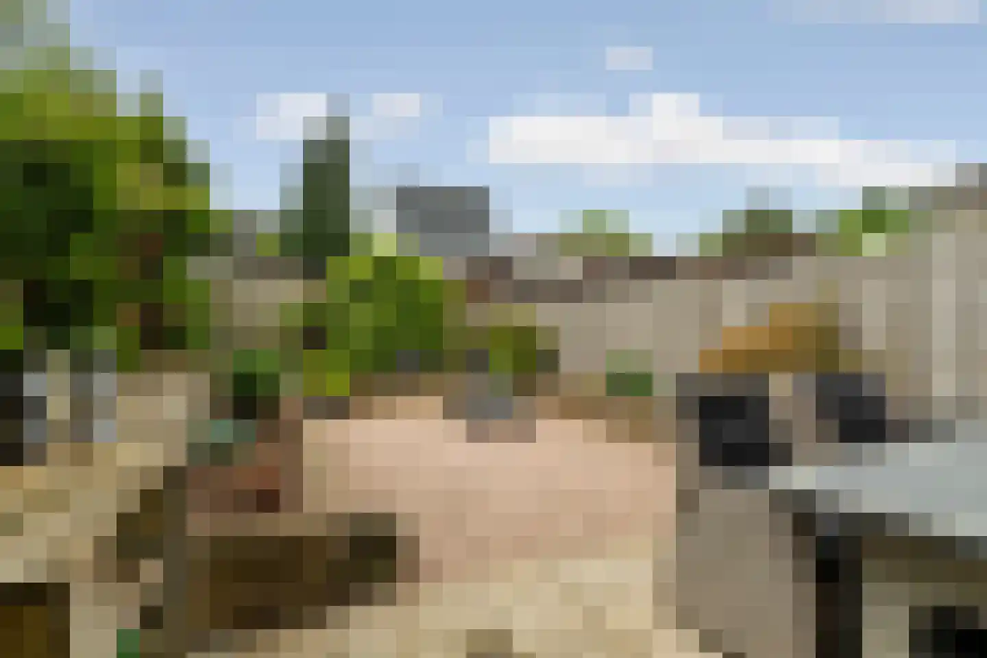 Zwanenveld 3313 Nijmegen thumbnail 30