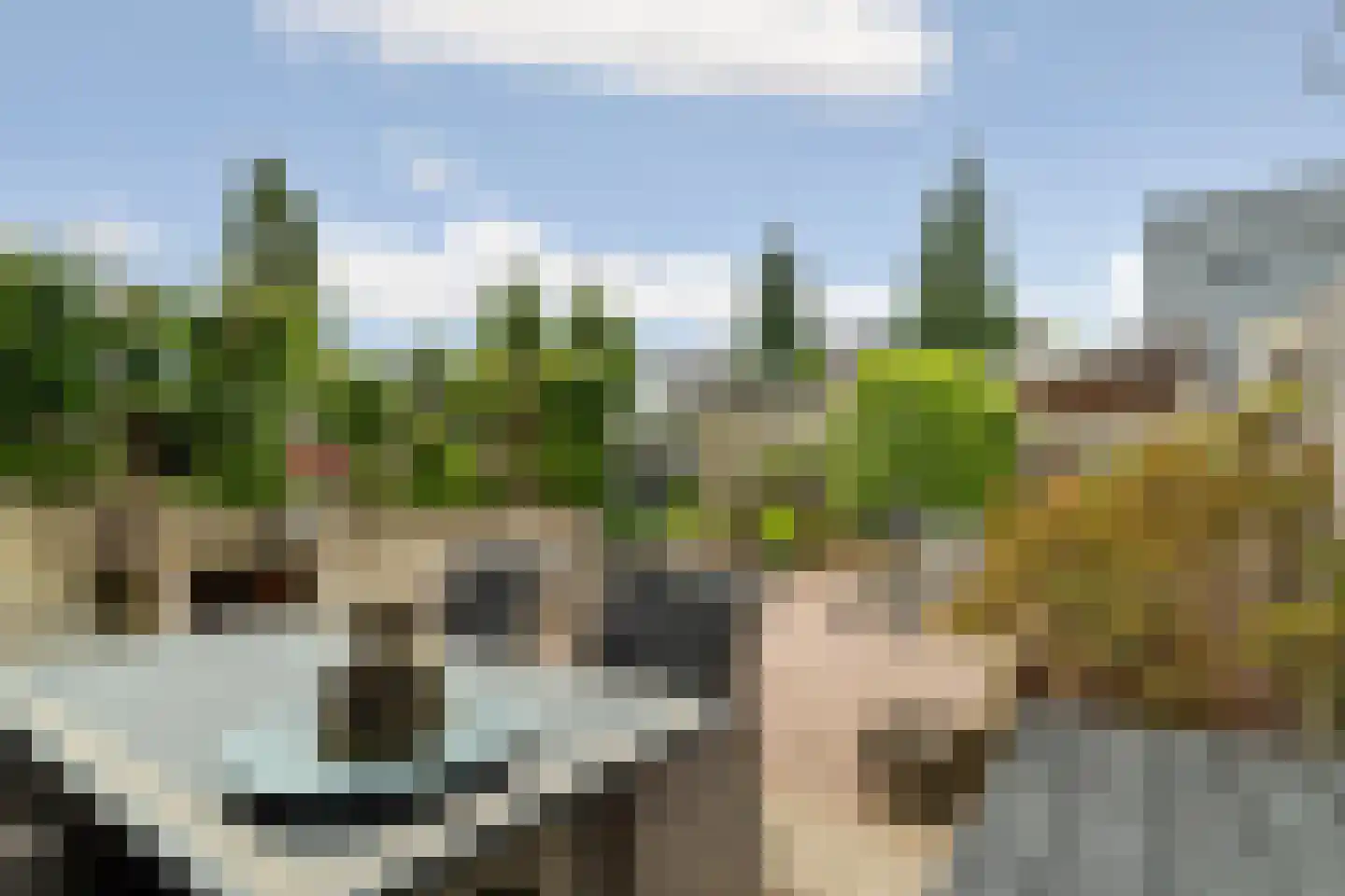 Zwanenveld 3313 Nijmegen thumbnail 31