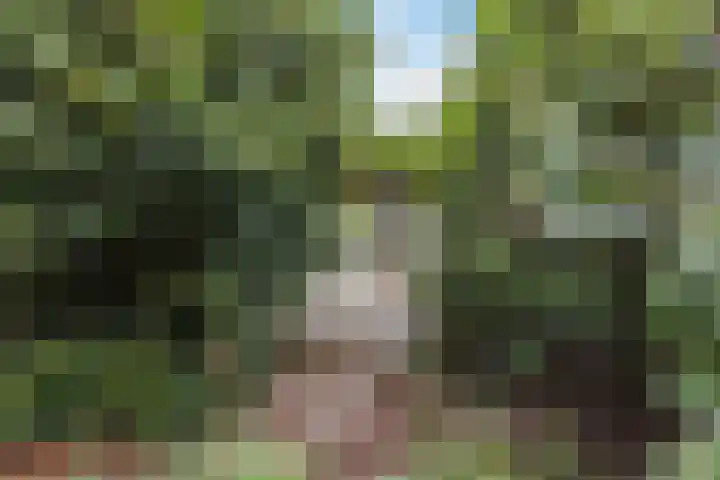 Zwanenveld 3332 Nijmegen thumbnail 10