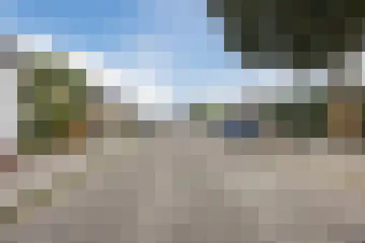 Zwanenveld 3332 Nijmegen thumbnail 38