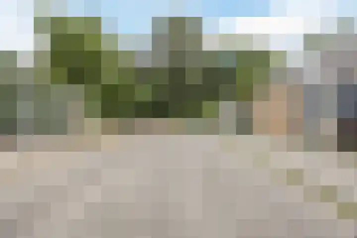 Zwanenveld 3332 Nijmegen thumbnail 39