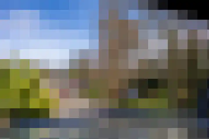 Zwanenveld 3338 Nijmegen thumbnail 23
