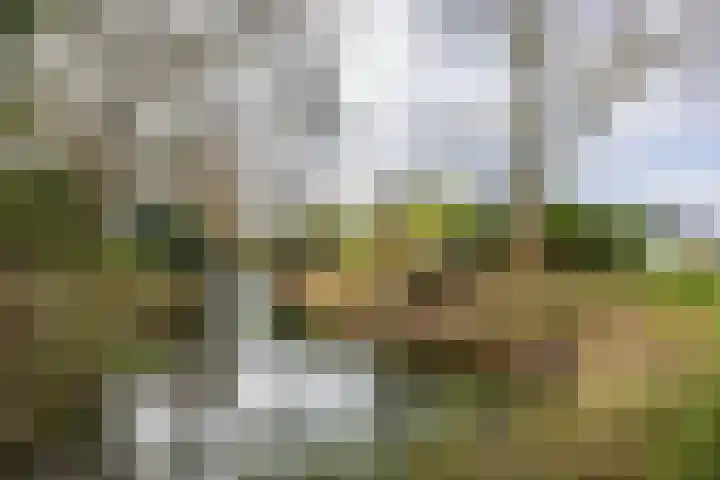 Zwanenveld 3338 Nijmegen thumbnail 32