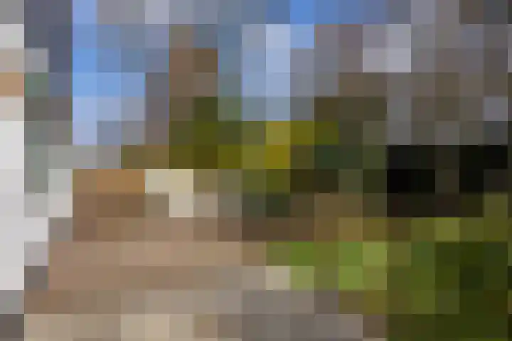 Zwanenveld 3338 Nijmegen thumbnail 33