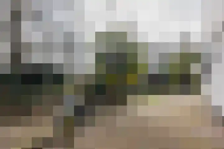 Zwanenveld 3338 Nijmegen thumbnail 35