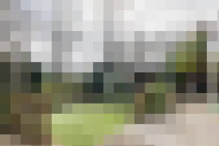 Zwanenveld 3338 Nijmegen thumbnail 36