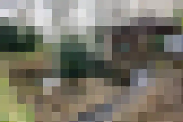 Zwanenveld 3338 Nijmegen thumbnail 37