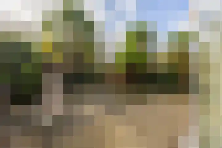 Zwanenveld 3338 Nijmegen thumbnail 38