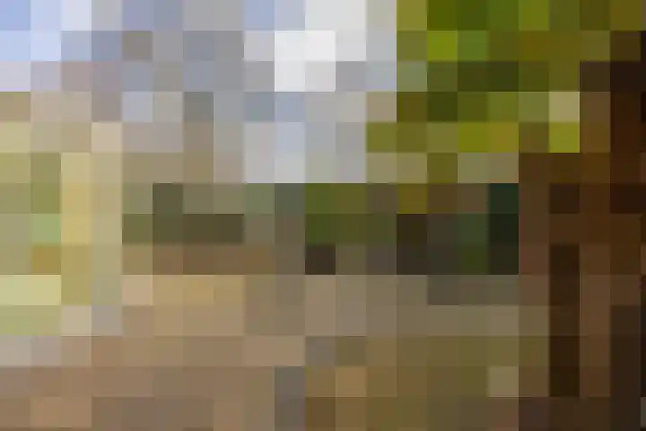 Zwanenveld 3338 Nijmegen thumbnail 39
