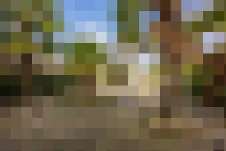 Zwanenveld 3338 Nijmegen thumbnail 40