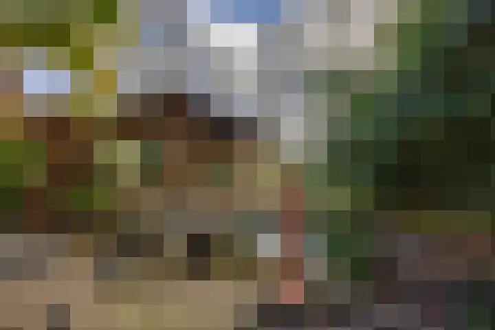 Zwanenveld 3338 Nijmegen thumbnail 41