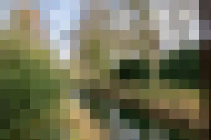 Zwanenveld 3338 Nijmegen thumbnail 44