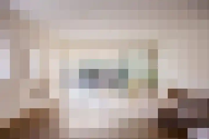 Zwanenveld 3338 Nijmegen thumbnail 5