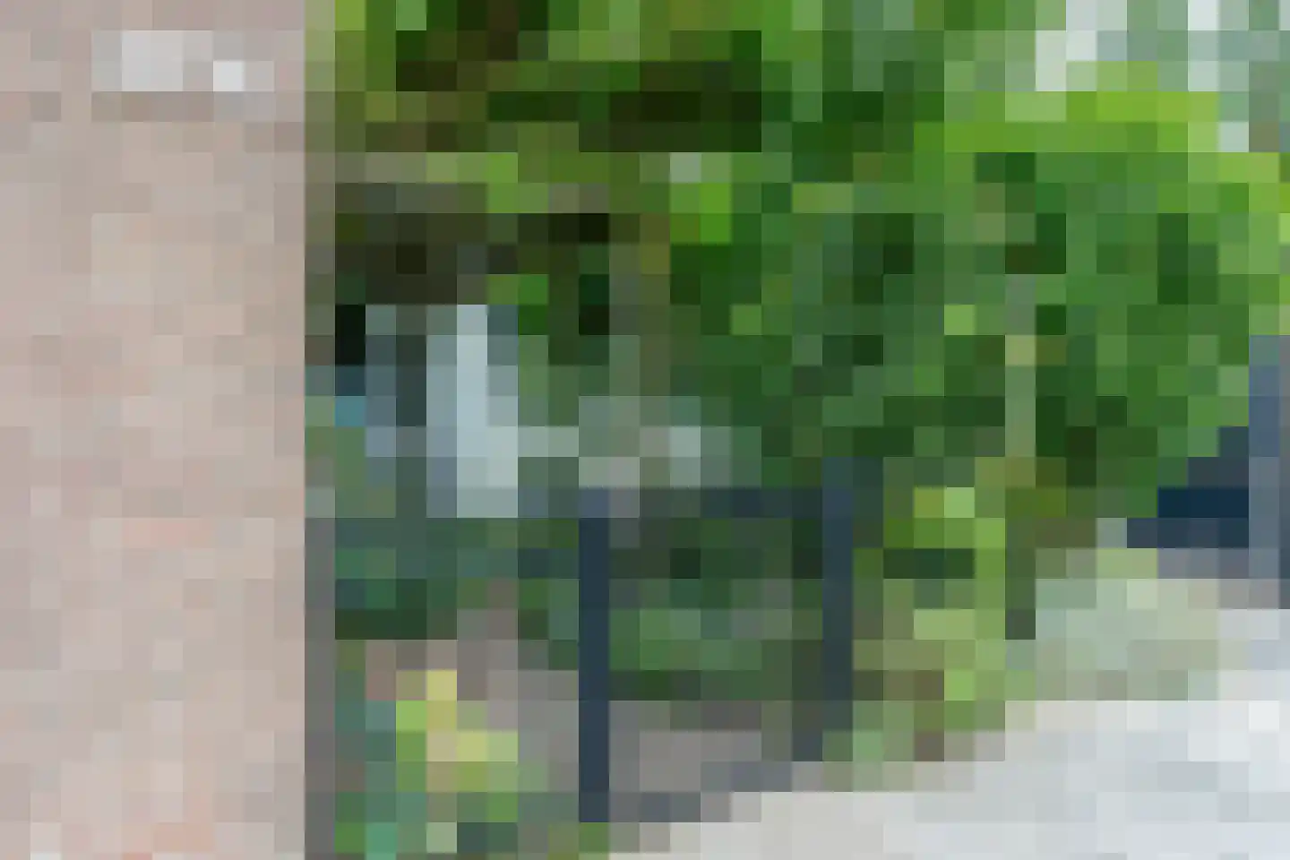 Zwanenveld 3350 Nijmegen thumbnail 7