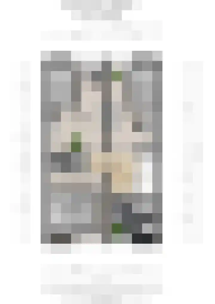 Zwanenveld 3424 Nijmegen thumbnail 14