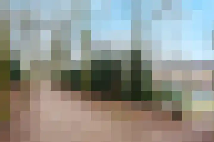 Zwanenveld 3424 Nijmegen thumbnail 37