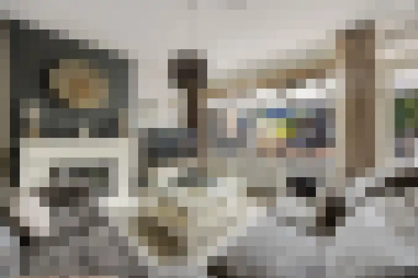 Zwanenveld 3518 Nijmegen thumbnail 5