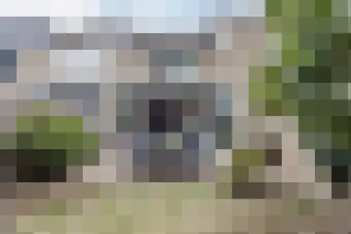 Zwanenveld 3529 Nijmegen thumbnail 27