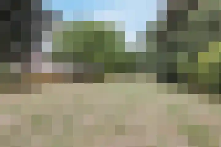 Zwanenveld 3529 Nijmegen thumbnail 30