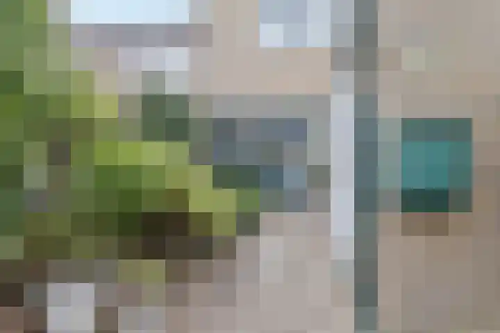 Zwanenveld 3529 Nijmegen thumbnail 4