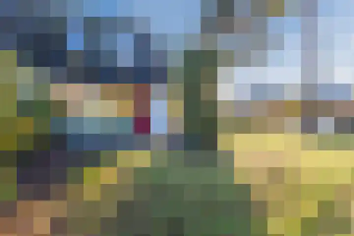 Zwanenveld 3556 Nijmegen thumbnail 25