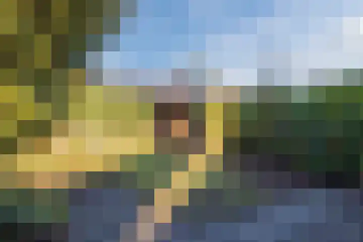 Zwanenveld 3556 Nijmegen thumbnail 26