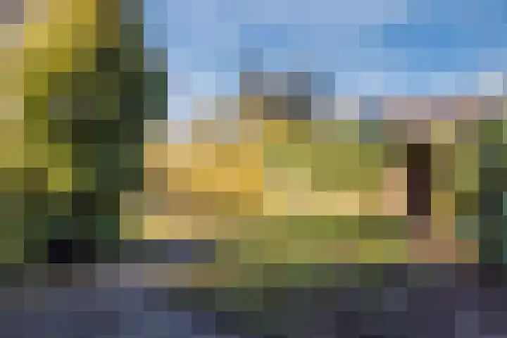 Zwanenveld 3556 Nijmegen thumbnail 27