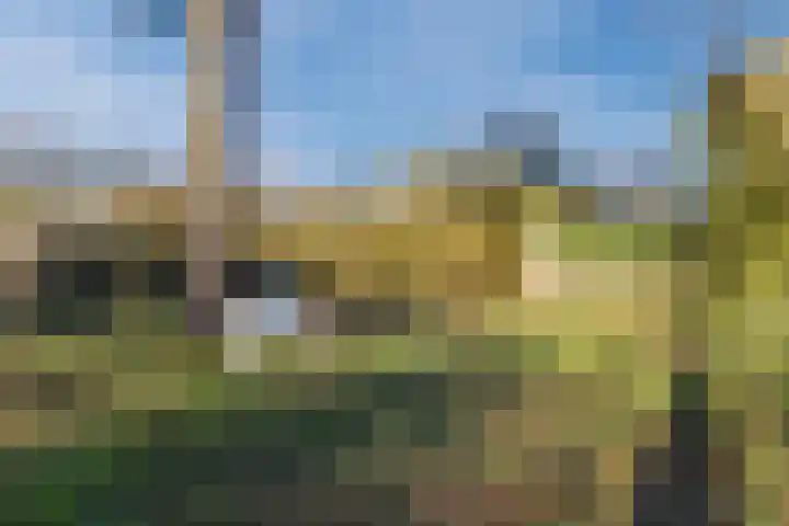 Zwanenveld 3556 Nijmegen thumbnail 33