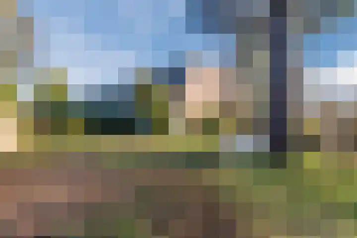 Zwanenveld 3556 Nijmegen thumbnail 34