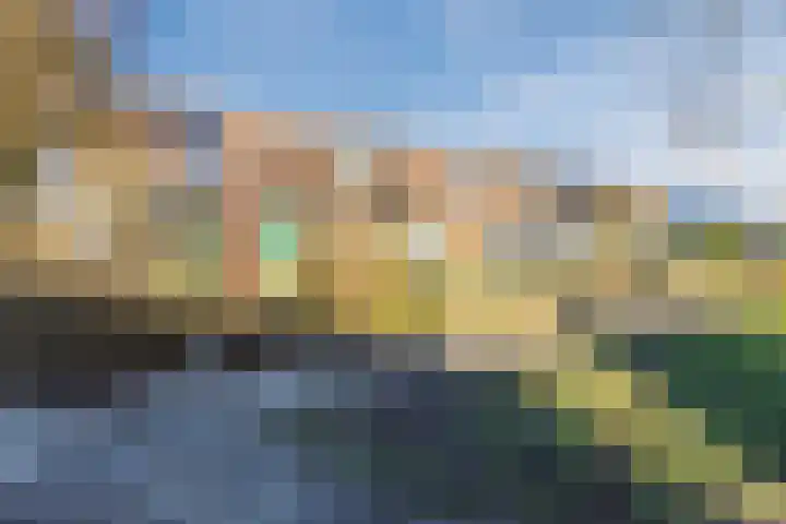 Zwanenveld 3556 Nijmegen thumbnail 5